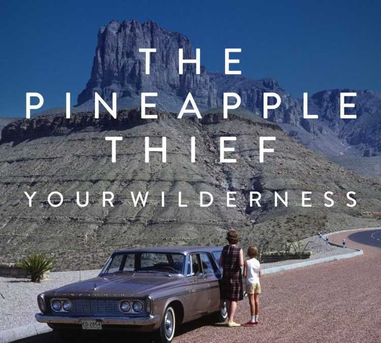 The Pineapple Thief – Your Wilderness